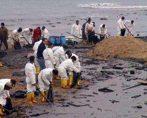 Очистить Мексиканский залив от нефти помогут бактерии - ученые