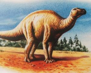 У Канаді знайшли найбільший цвинтар динозаврів