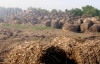 Сторож-курець спалив 200 тюків соломи (ФОТО)
