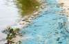 Вода в заливе Днепра около Конча-Заспы вызывает ожоги на коже (ФОТО)