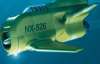В США розробляють літаючий підводний човен за радянськими зразками (ВІДЕО)