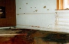 Елена Попович берет 500 гривен за уборку квартиры после убийства