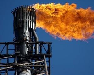 Рада дозволила віддати газ Фірташу