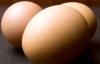 Жінку-прем"єра Австралії закидали яйцями