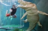 Крокодил Гарри поддержал осьминога Пауля в выборе победителя ЧМ-2010