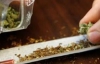 Алчевский чиновник продавал марихуану в рабочем кабинете