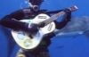 Эколог исполнил песню рядом с большой белой акулой (ФОТО)