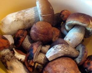  64 украинца отравились грибами в 2010 году