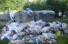 В Тернополе гниют тонны невывезенного мусора 