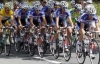 Вівці стали на шляху велогонщиків на Тур де Франс