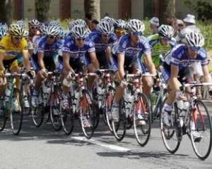 Овцы встали на пути велогонщиков на Тур де Франс