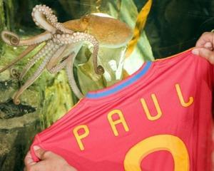 Осьминог Пауль получил персональную футболку чемпиона мира