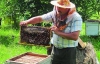 Хороший мед ложится слоями