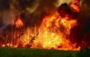 Неизвестные спалили 2, 5 га зелени под Киевом