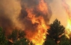 В Украине растет количество лесных пожаров