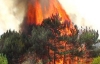 В Украине горит юг и юго-восток: зафиксировано 480 пожаров