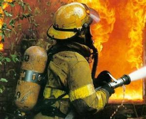 Пожары в России унесли жизни уже 53 человек