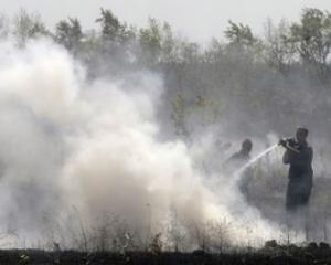 На Полтавщині горять торф"яники