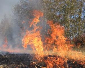 Київ накрило смогом через вогонь на сміттєзвалищі