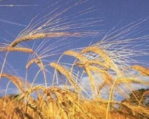 Україна заблокувала експорт зерна