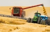 Врожай зернових наступного року опиниться під загрозою - експерт