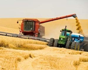 Урожай зерновых в следующем году окажется под угрозой - эксперт