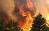 У Могильова знають, хто спалив 400 га лісу на Дніпропетровщині