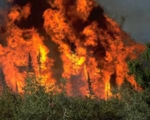 Пожежі в Росії перетворили $15 млрд на дим - зарубіжні ЗМІ