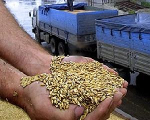 Україна таки готується обмежити експорт зерна