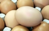 Американцы уничтожили 380 миллионов яиц из-за страха сальмонеллеза