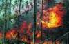 На выходных Украине снова обещают чрезвычайную пожарнаю опасность