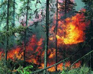 На выходных Украине снова обещают чрезвычайную пожарнаю опасность