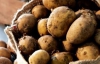 Присяжнюк отрицает значительное подорожание картофеля