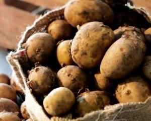 Присяжнюк заперечує значне подорожчання картоплі