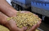 Украина экспортирует в Грузию 150 тысяч тонн пшеницы