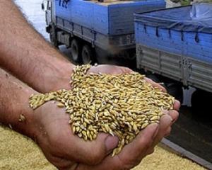 Украина экспортирует в Грузию 150 тысяч тонн пшеницы