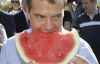 Медведев ел арбуз прямо с грядки (ФОТО)