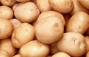 Из-за дефицита картофель подорожает на 25 % - эксперт