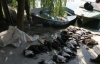 На Николаевщине браконьеры подстрелили десятки &quot;краснокнижних&quot; птиц
