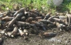 На Луганщине танковый снаряд разрушил четырехквартирный дом