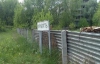 Рослини Чорнобиля вирощують&quot;антирадіаційний щит&quot; - The New York Times