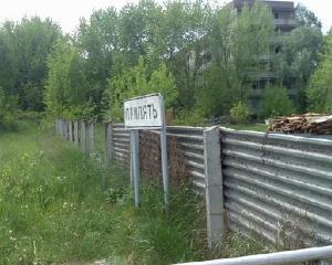 Растения Чернобыля выращивают &amp;quot;антирадиационный щит&amp;quot; - The New York Times
