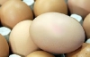 Аграрное министерство рассказывает о яйцах за 6,23 грн