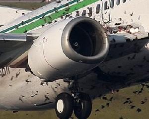 В двигатель украинского пассажирского самолета попала птица