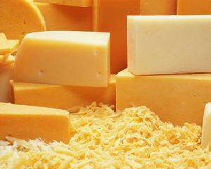 У жовтні твердий сир може подорожчати до 100 грн / кг