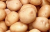 У Цушка подорожчання картоплі звалили на селян-спекулянтів