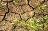 Надмірне споживання води призведе до глобальної посухи