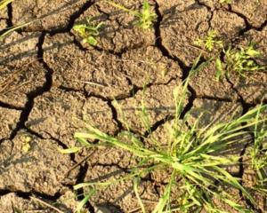 Чрезмерный расход воды приведет к глобальной засухе