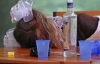 Учені з"ясували, чому підлітки вживають алкоголь