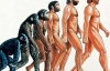 Еволюція зменшила &quot;чоловіче достоїнство&quot; і збільшила жіночі груди